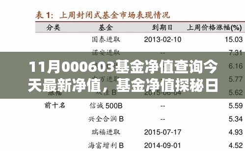 今日揭曉，11月000603基金凈值探秘，友情與家庭溫暖相伴的溫馨凈值報告