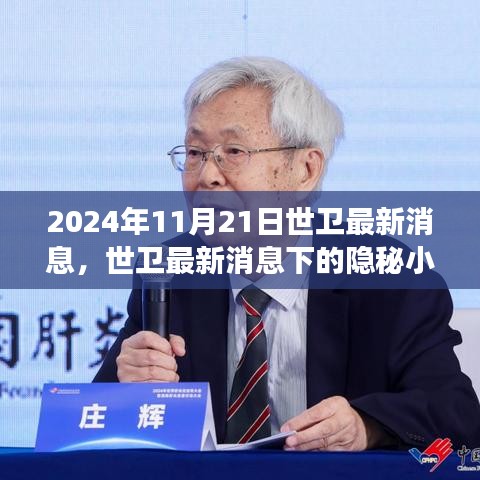 世衛最新消息背后的隱秘小巷美食探秘之旅（2024年11月21日）