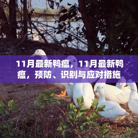 11月最新鴨瘟，預防、識別與應對措施