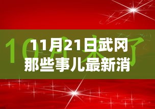 11月21日武岡那些事兒最新消息，武岡日常趣事，11月21日的溫暖瞬間