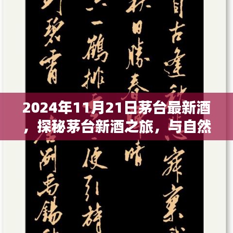 2024年11月21日茅臺(tái)最新酒，探秘茅臺(tái)新酒之旅，與自然美景共舞的日子