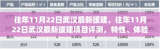 往年11月22日武漢援建項目深度解析，特性、體驗、競品對比及用戶群體分析