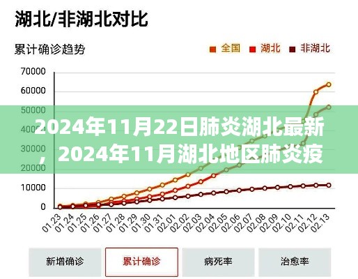 2024年11月湖北地區肺炎疫情最新進展概述