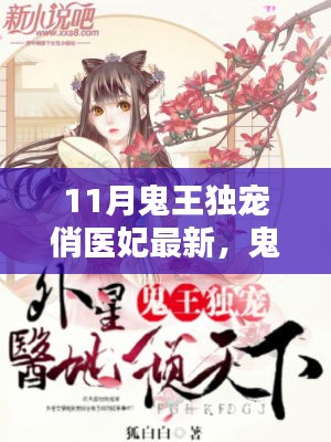 鬼王獨(dú)寵俏醫(yī)妃，網(wǎng)絡(luò)小說奇幻愛情模式深度探討