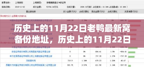 歷史上的11月22日，老鴨最新窩備份地址背后的故事與深遠影響