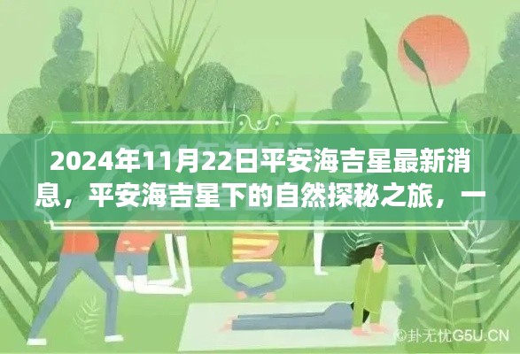 平安海吉星自然探秘之旅，心靈洗滌與重生之旅（最新消息）