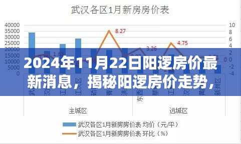 陽邏房價最新動態，深度分析走勢與揭秘最新消息（2024年11月22日）