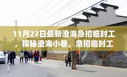 澄海急招臨時工背后的獨特小店故事，探秘小巷中的秘密招聘日