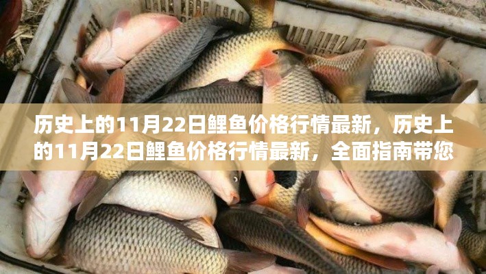 歷史上的11月22日鯉魚價格行情回顧與最新走勢全面指南，了解鯉魚市場的動態(tài)變化