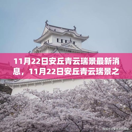 11月22日安丘青云瑞景之旅，探尋自然之美，擁抱內心寧靜