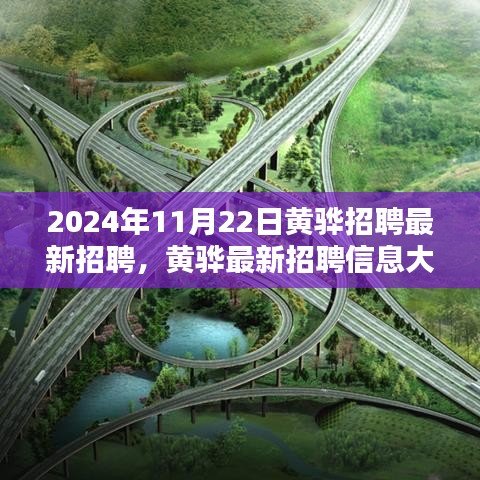 黃驊最新招聘信息揭秘，求職者的福音，2024年11月22日