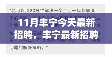 11月豐寧最新招聘動態，把握職場機遇，共創美好未來