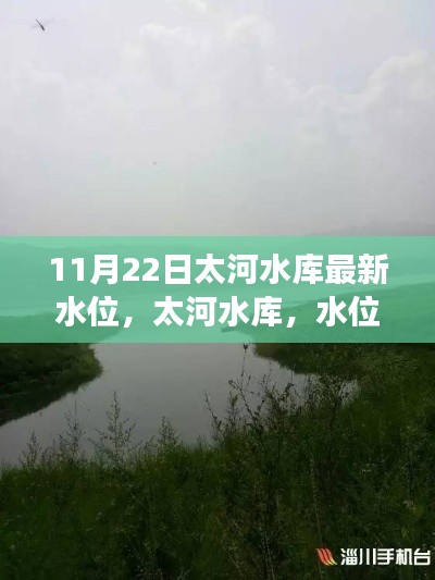 太河水庫水位最新動態，水位變遷與生態影響的紀實