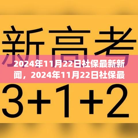 2024年11月22日社保動(dòng)態(tài)更新，改革進(jìn)展與未來展望