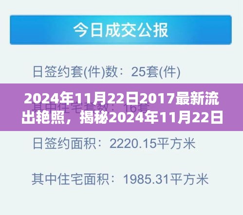 揭秘2024年11月22日艷照流出事件，探索背后的秘密與故事