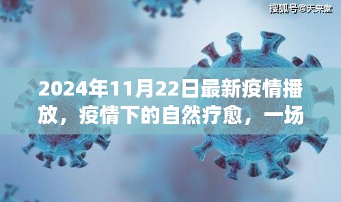 2024年11月22日最新疫情播放，疫情下的自然療愈，一場尋找內心平靜的奇妙旅行，2024年11月22日的美麗新世界