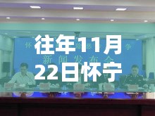 往年11月22日懷寧案件深度剖析與觀點闡述，最新案例分析報告