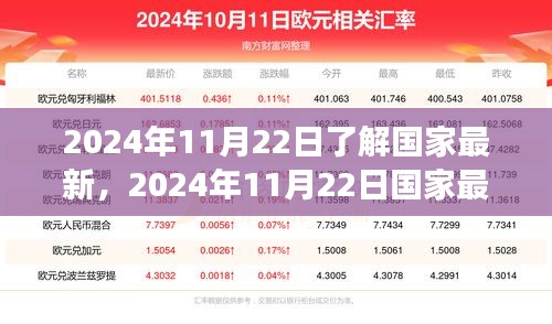 從某某觀點看，2024年11月22日國家最新動態深度探析與解讀