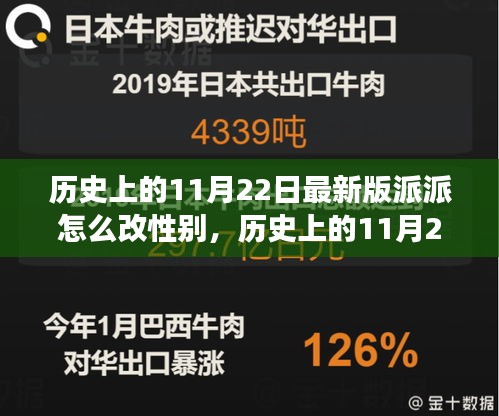 最新版派派社交軟件性別修改步驟詳解，歷史上的11月22日指南