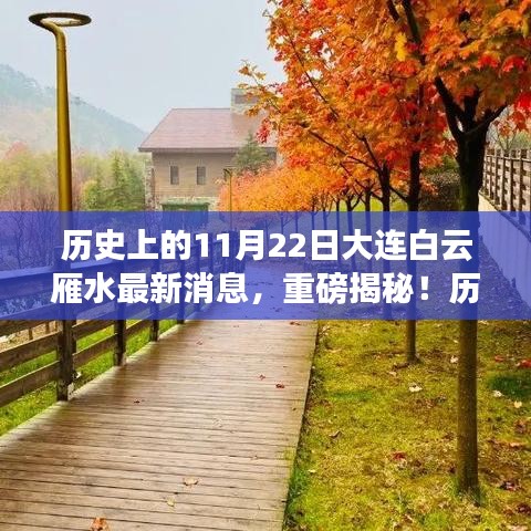 揭秘歷史上的11月22日大連白云雁水最新動態(tài)與消息重磅