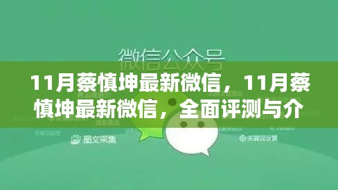 蔡慎坤最新微信評測與介紹，全面解讀十一月最新動態