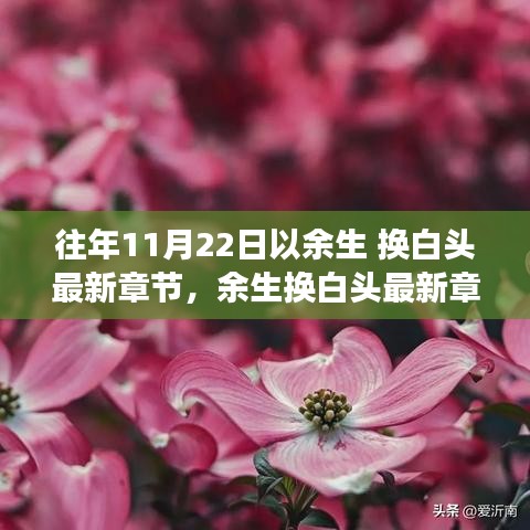 小心翼翼 第4頁