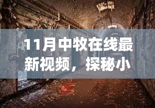 揭秘小巷深處的獨特風味，十一月中牧在線最新視頻帶你探尋隱藏美食店