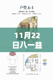 八一益園最新動態揭秘，11月22日獨家消息，小紅書帶你探索最新消息