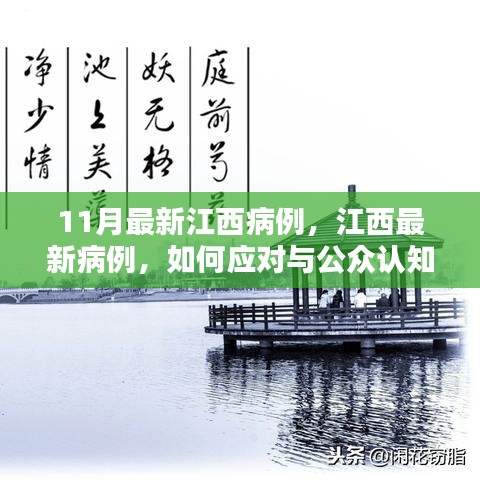 江西最新病例應對與公眾認知重塑，11月疫情挑戰及應對策略