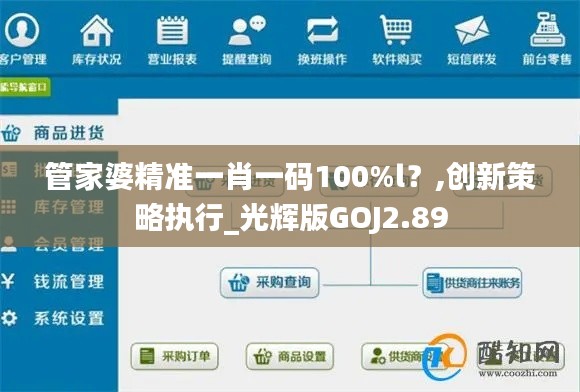 管家婆精準一肖一碼100%l？,創新策略執行_光輝版GOJ2.89