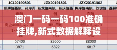 澳門一碼一碼100準確掛牌,新式數據解釋設想_定制版PJM2.30