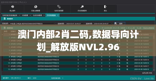 澳門內部2肖二碼,數據導向計劃_解放版NVL2.96