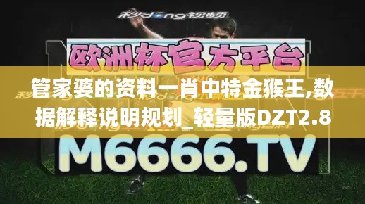 管家婆的資料一肖中特金猴王,數據解釋說明規劃_輕量版DZT2.86