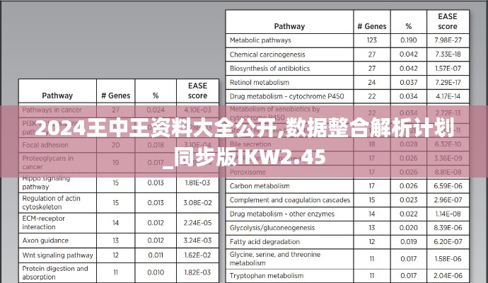 2024王中王資料大全公開(kāi),數(shù)據(jù)整合解析計(jì)劃_同步版IKW2.45