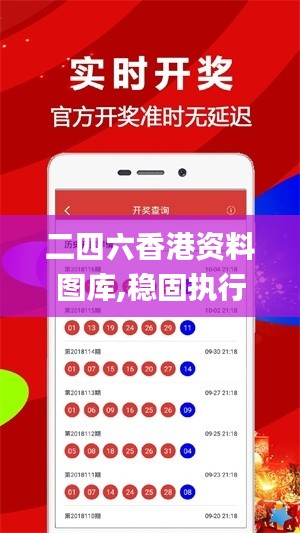 二四六香港資料圖庫,穩固執行方案計劃_領航版XNA2.46