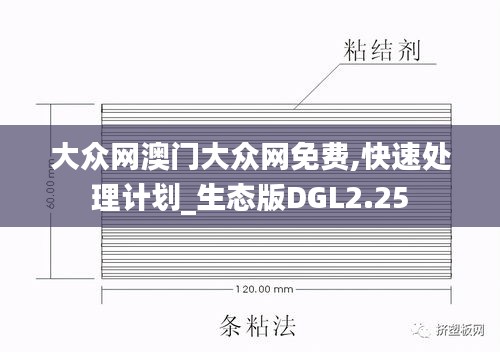 大眾網澳門大眾網免費,快速處理計劃_生態版DGL2.25