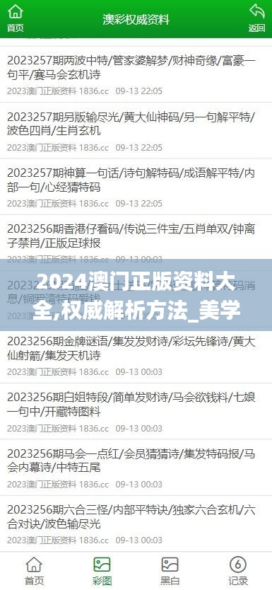 2024澳門正版資料大全,權威解析方法_美學版LNW2.76