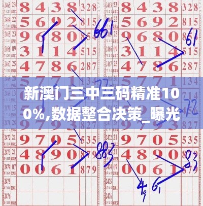 新澳門三中三碼精準100%,數據整合決策_曝光版DPD2.18