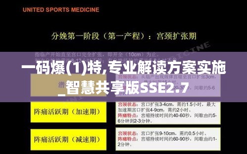 一碼爆(1)特,專業(yè)解讀方案實施_智慧共享版SSE2.7