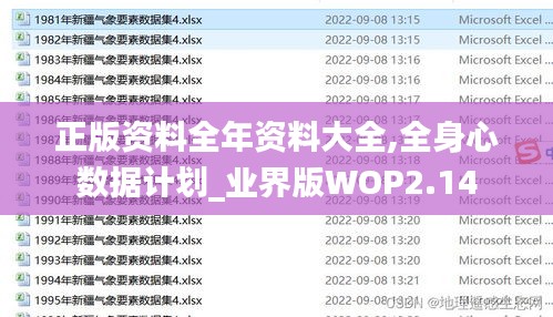 正版資料全年資料大全,全身心數據計劃_業界版WOP2.14