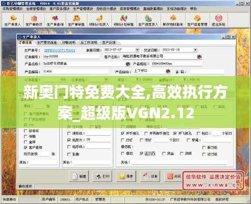 新奧門特免費大全,高效執(zhí)行方案_超級版VGN2.12