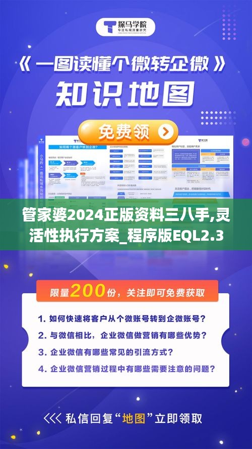 管家婆2024正版資料三八手,靈活性執行方案_程序版EQL2.34