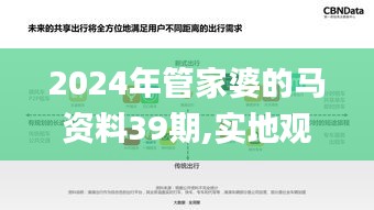 2024年管家婆的馬資料39期,實地觀察數據設計_影音體驗版NPA2.33