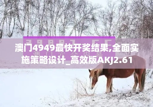 澳門4949最快開獎結果,全面實施策略設計_高效版AKJ2.61