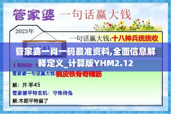 管家婆一肖一碼最準資料,全面信息解釋定義_計算版YHM2.12