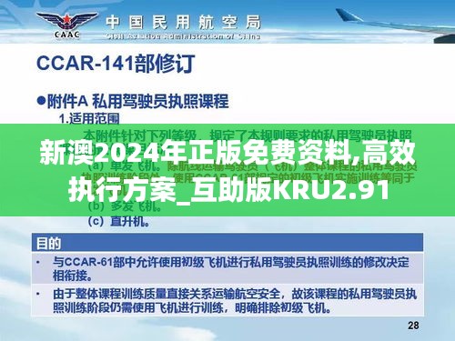 新澳2024年正版免費資料,高效執行方案_互助版KRU2.91