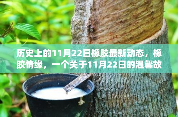 歷史上的橡膠情緣，揭秘橡膠最新動態與溫馨故事