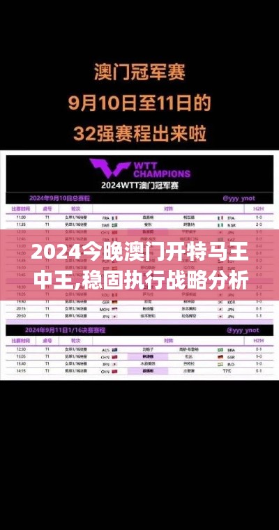 2024今晚澳門開特馬王中王,穩固執行戰略分析_專屬版WVH2.22