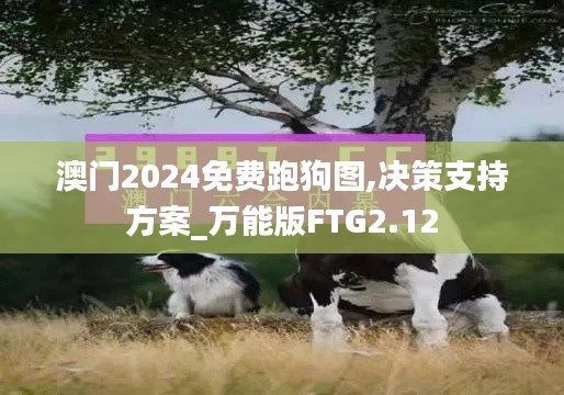 澳門2024免費跑狗圖,決策支持方案_萬能版FTG2.12