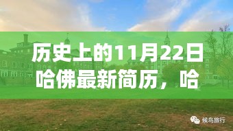 探尋內心平靜的奧秘，哈佛最新簡歷與自然美景的邂逅之旅（歷史視角下的11月22日）